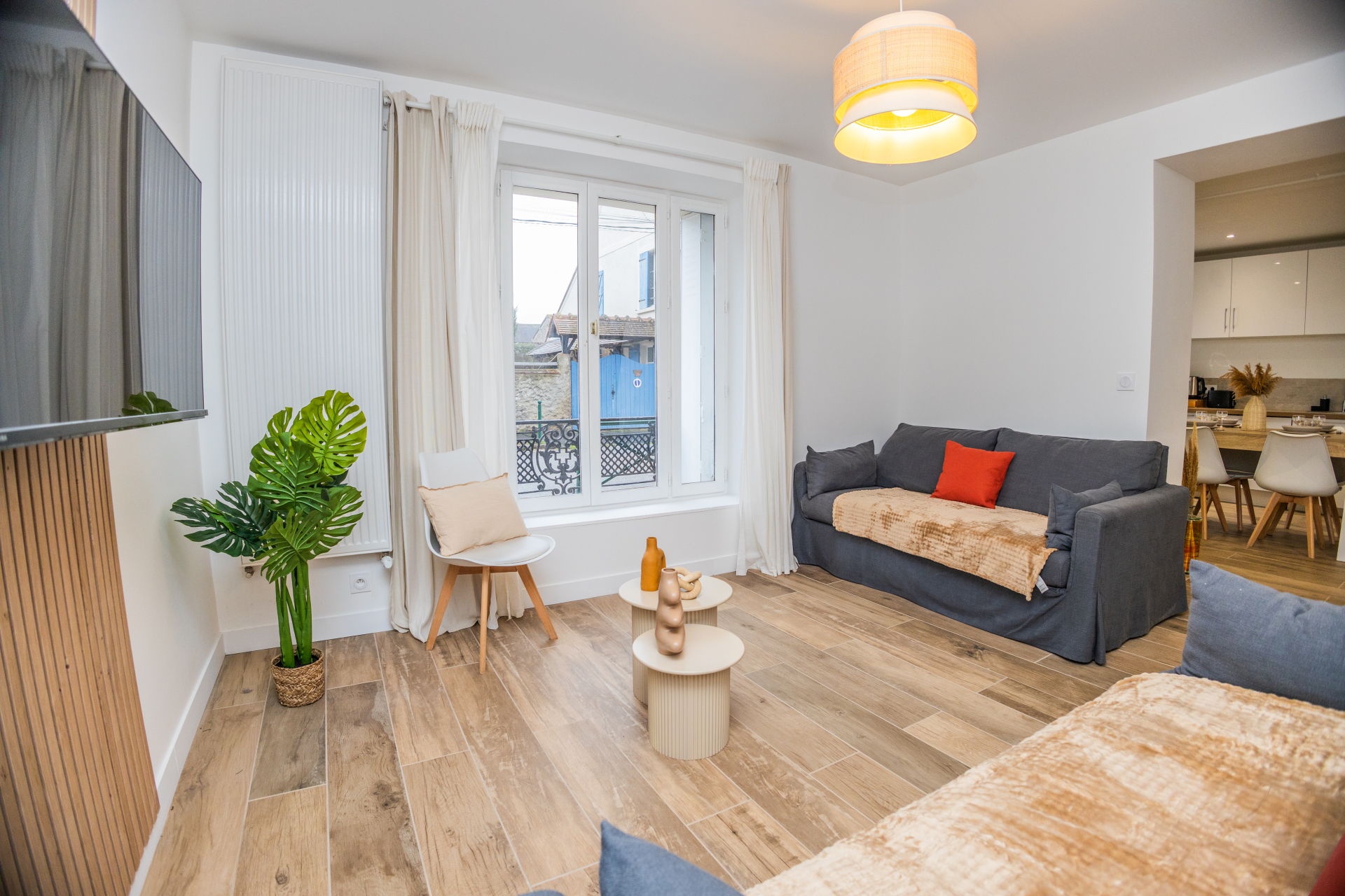 Vue du salon avec TV